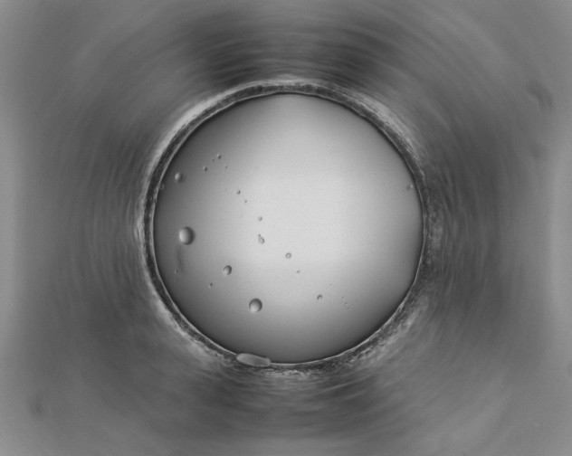 X0000112790943200909041409