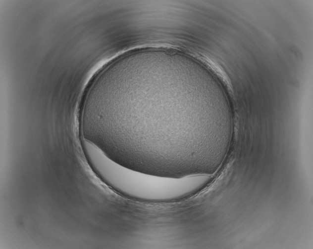 X0000112790944200909041409