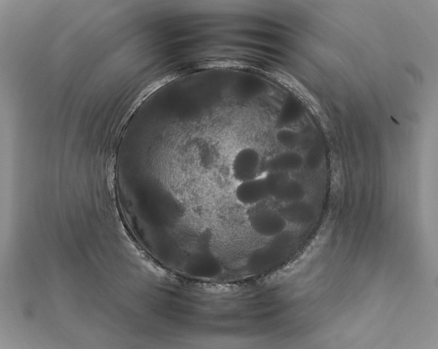 X0000112790945200909041409