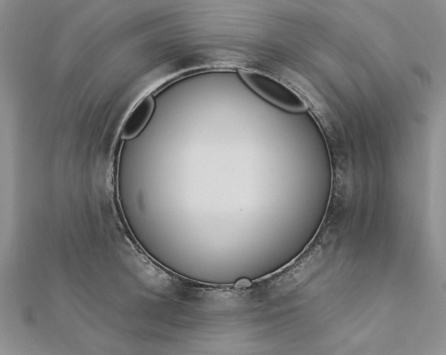 X0000112790948200909041409