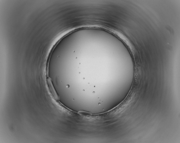 X0000112790951200909041409