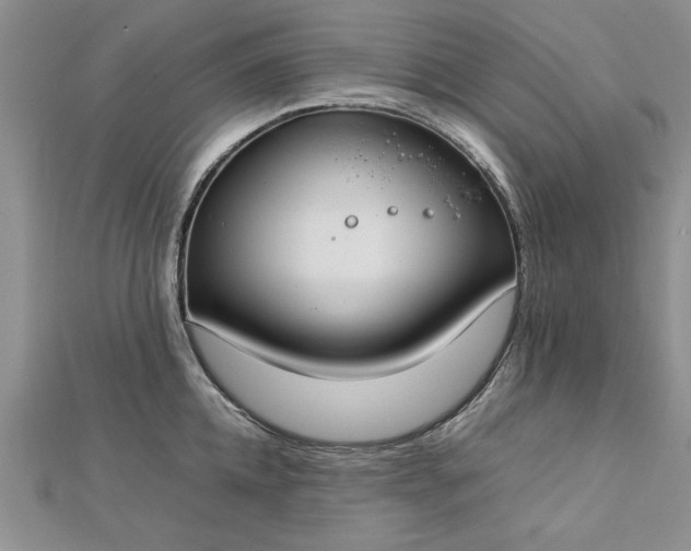 X0000112790952200909041409