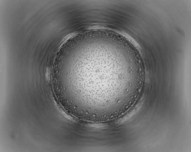 X0000112790953200909041409