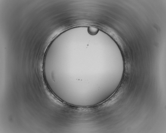 X0000112790954200909041409