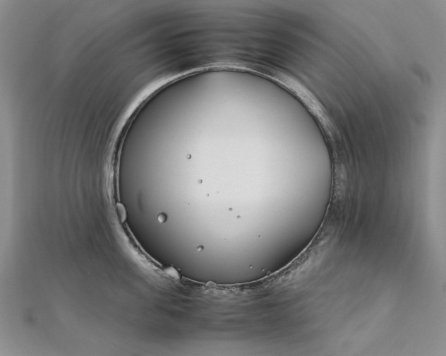 X0000112790955200909041409