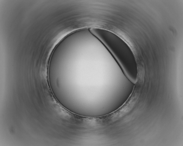 X0000112790956200909041409