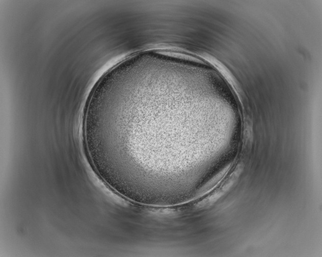 X0000112790957200909041409