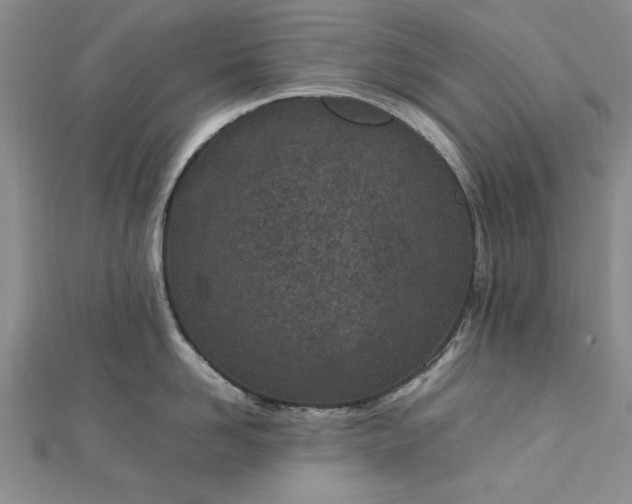 X0000112790958200909041409