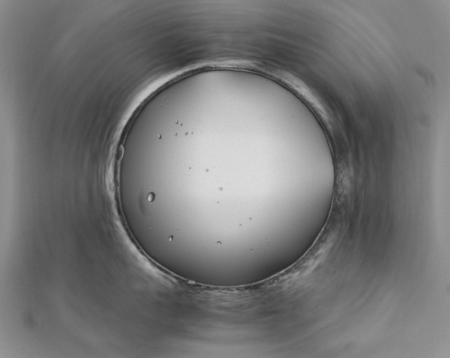 X0000112790959200909041409