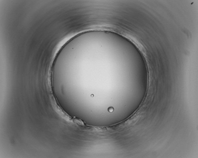 X0000112790960200909041409