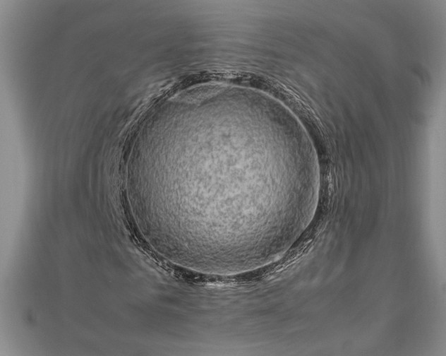 X0000112790961200909041409