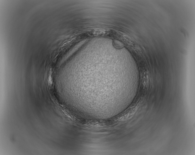 X0000112790962200909041409