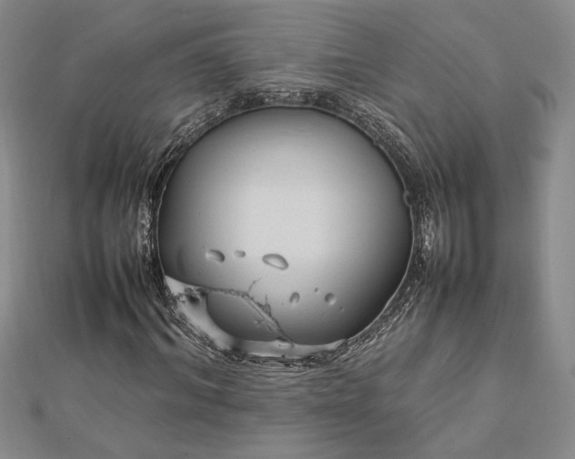 X0000112790964200909041409