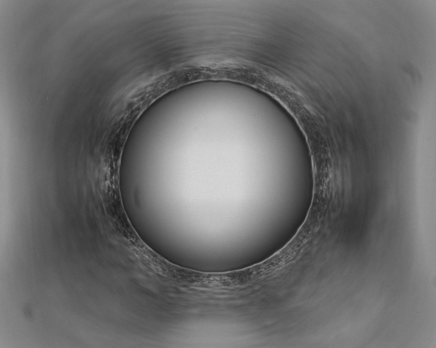 X0000112790966200909041409