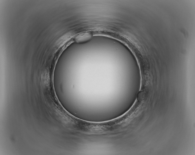 X0000112790969200909041409