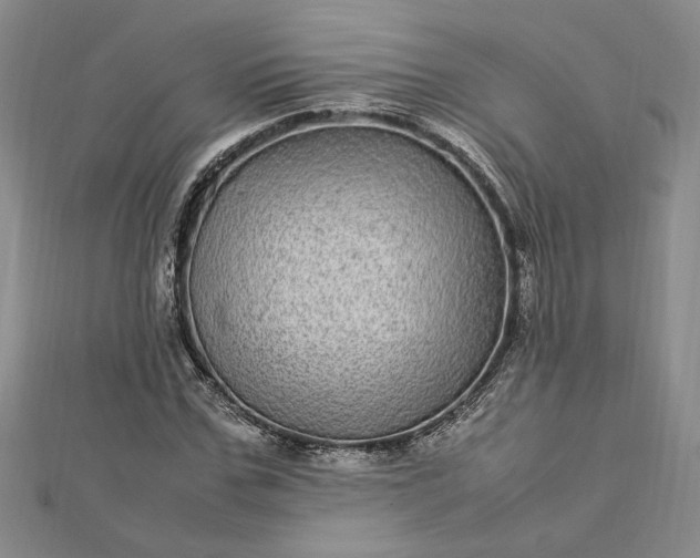 X0000112790971200909041409