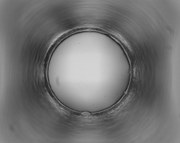 X0000112790972200909041409