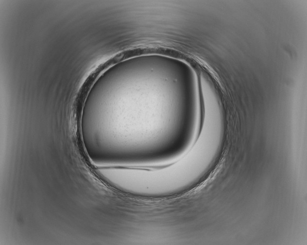 X0000112790973200909041409