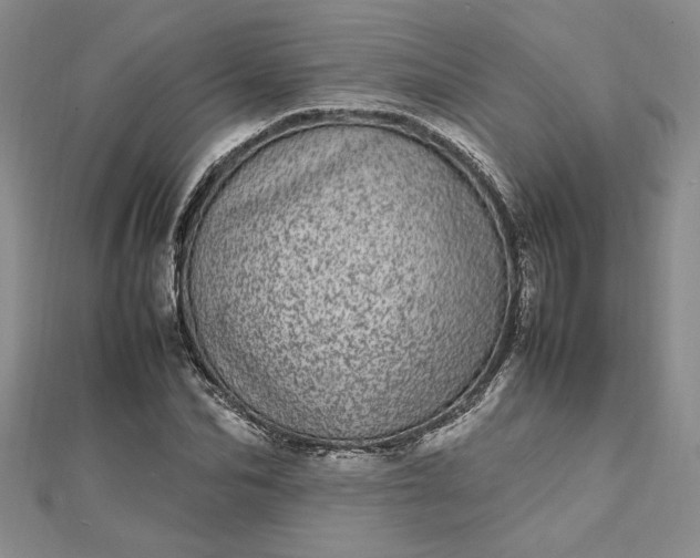 X0000112790974200909041409