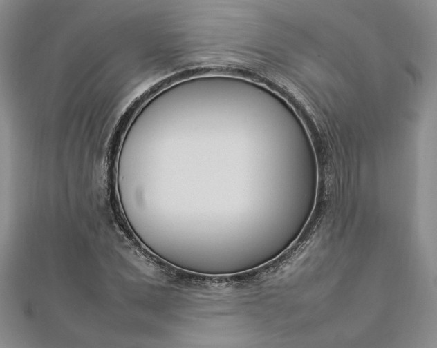 X0000112790975200909041409