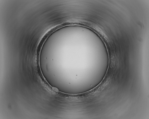 X0000112790976200909041409