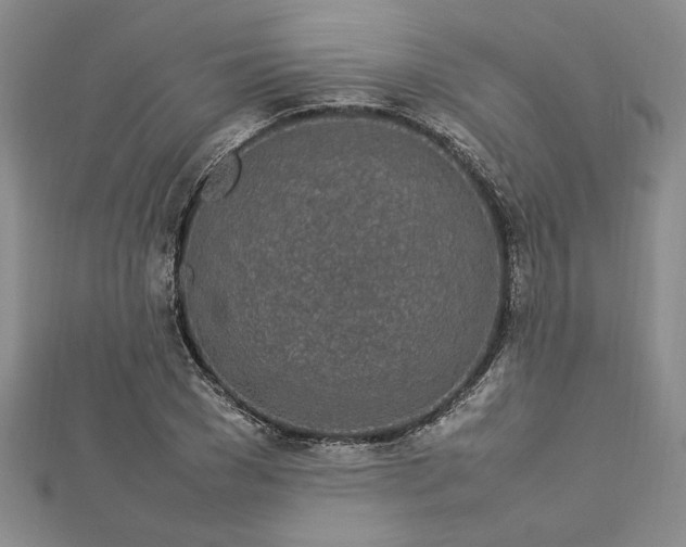 X0000112790977200909041409