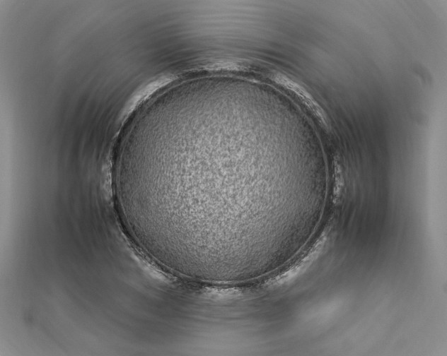 X0000112790978200909041409