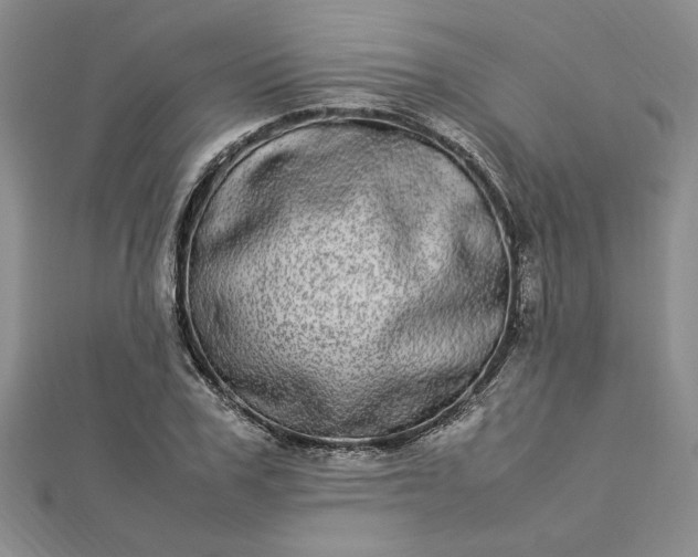 X0000112790979200909041409