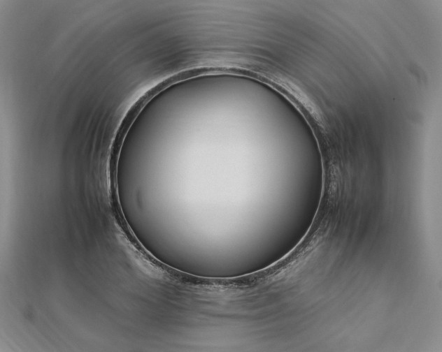 X0000112790980200909041408