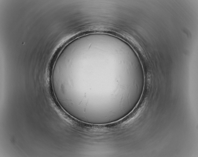 X0000112790981200909041408