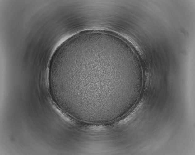 X0000112790982200909041408