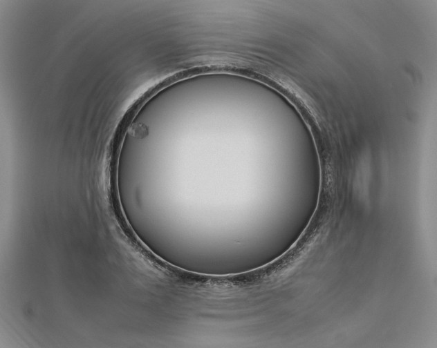 X0000112790983200909041408