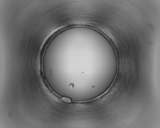 X0000112790984200909041408