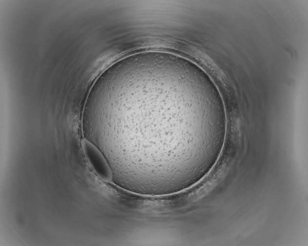 X0000112790985200909041408