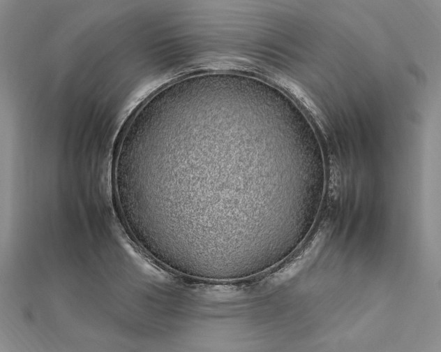 X0000112790986200909041408