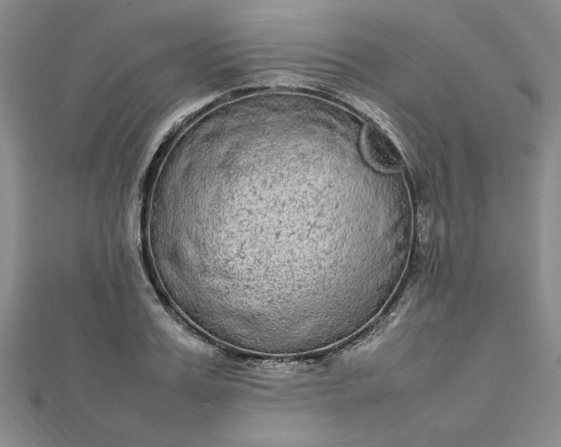 X0000112790987200909041408