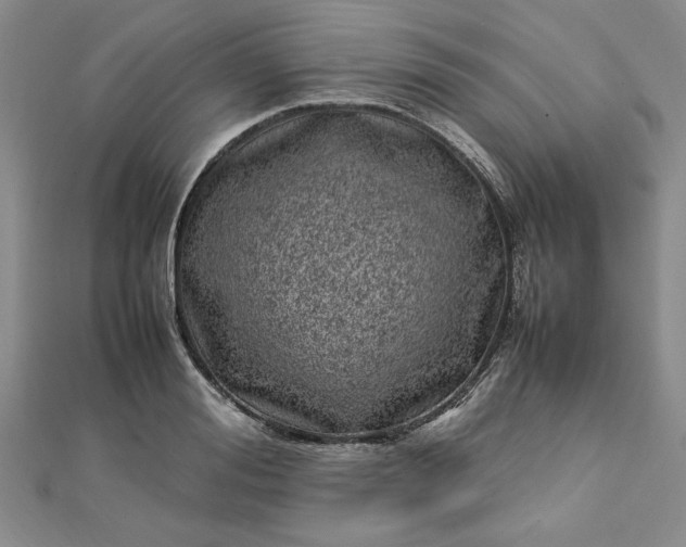 X0000112790988200909041408