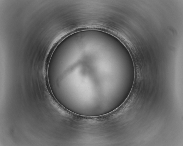 X0000112790990200909041408