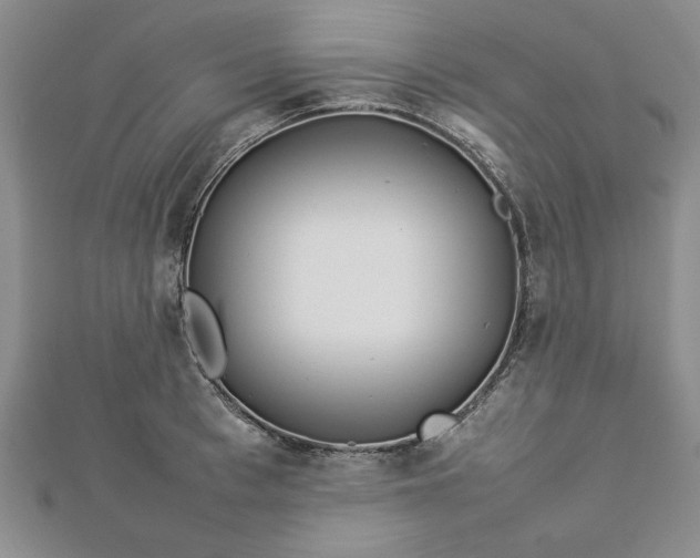 X0000112790993200909041408