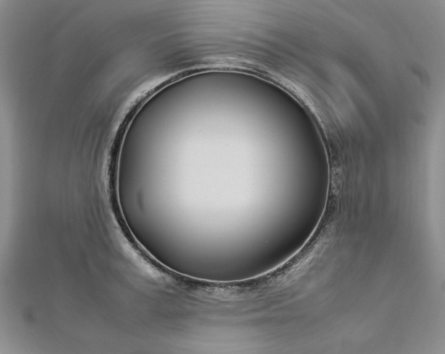 X0000112790995200909041408