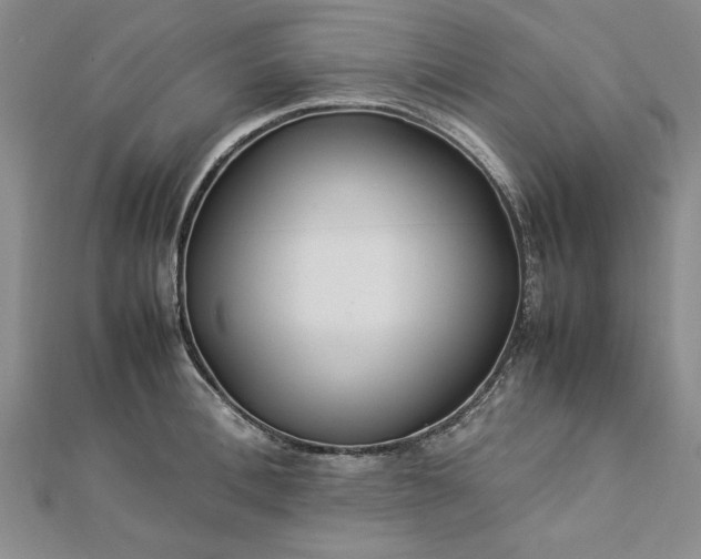 X0000112790996200909041408