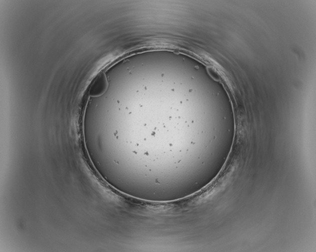 X0000112790997200909041408