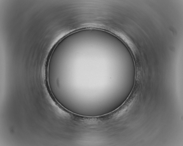 X0000112790999200909041408