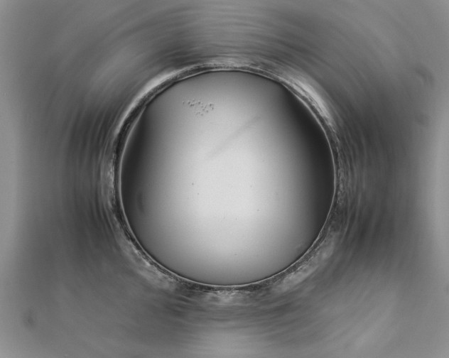 X0000112791000200909041408