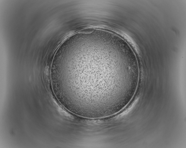 X0000112791001200909041408