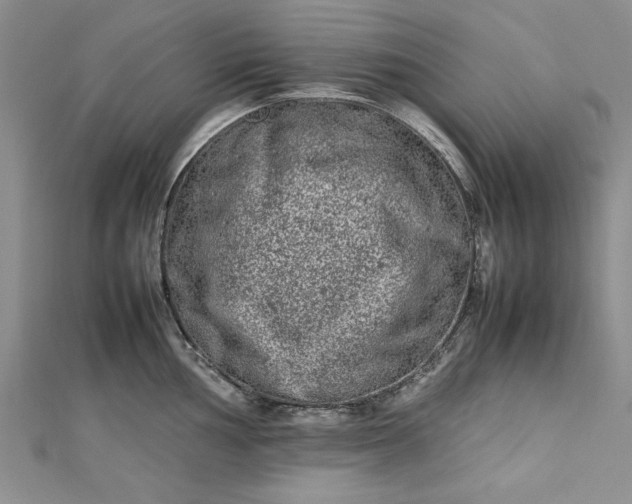 X0000112791002200909041408