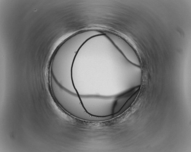 X0000112791003200909041408