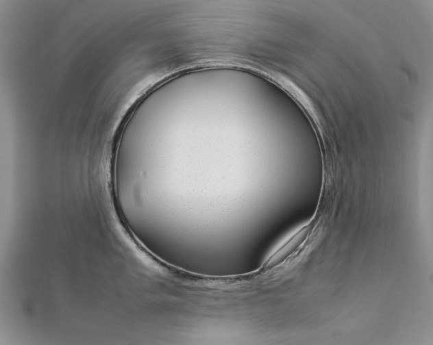 X0000112791005200909041408