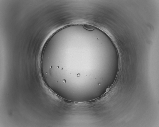 X0000112791008200909041408