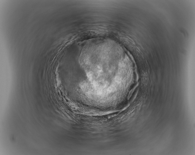 X0000112791009200909041408